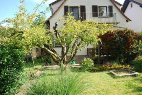 Hotels in Michelstadt